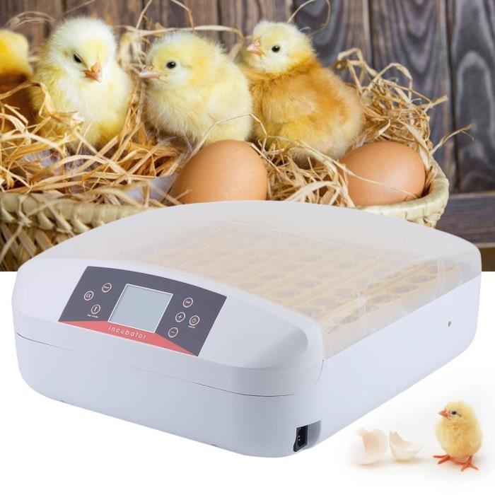 Couveuse oeuf Automatique Incubateur 56 œufs Affichage Digital de la température Appareil dIncubation Poule Canard Caille 