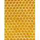 CIRE D ABEILLE 1KG
