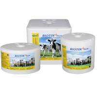 BLOC BIOTIN PLUS 5 KG