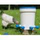 ABREUVOIR D'EAU AUTOMATIQUE POULET VOLAILLE