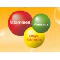 Compose minéral vitaminé (CMV)
